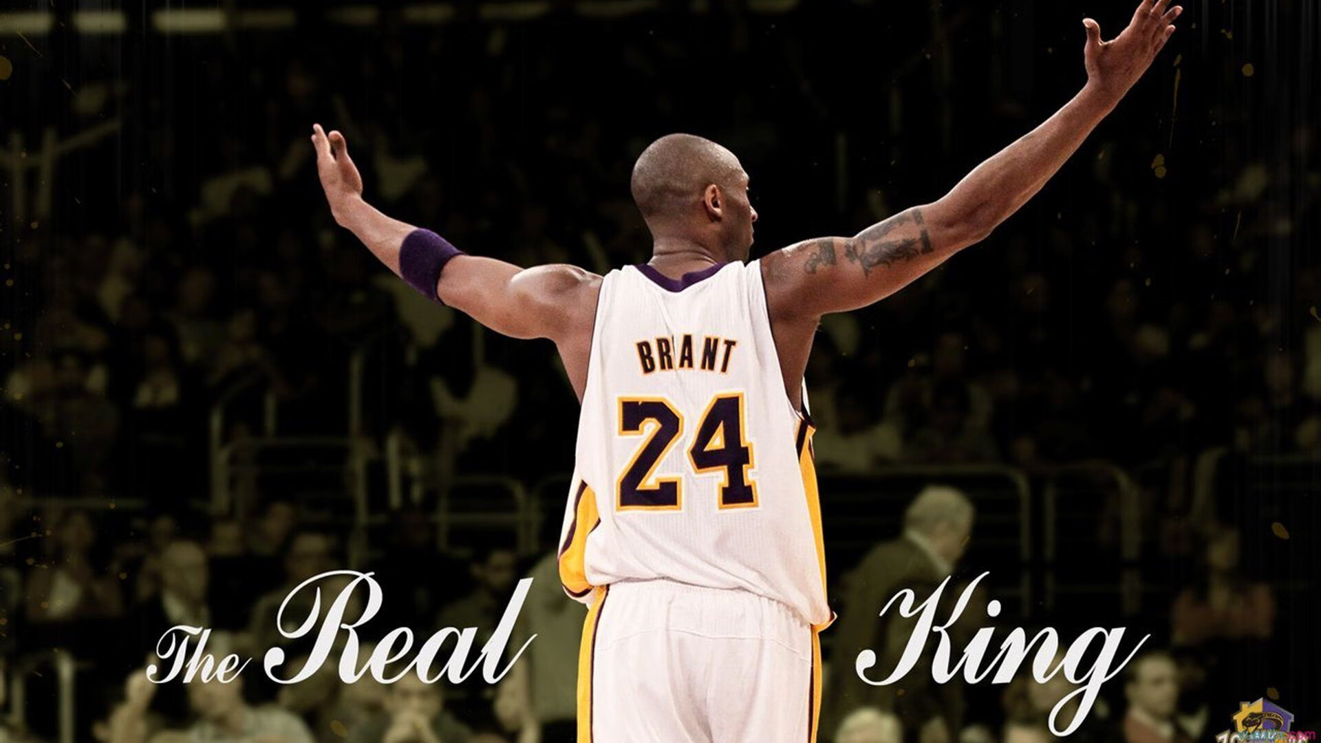 当辽篮遇见雄鹰，莫兰特跨越大洋的统治宣言